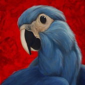 Madeline Mitchell - “The Silence of the Spix's Macaw” – www.mleclairemitchellarts.com