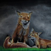 Arthi Arumugam - “Mother Fox and Kittens” – www.youtube.com/channel/UCLtgH7e_-BD_hKJrnybGKgw