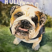 Liz Covington – “Hollywood Bulldog” - www.CovingtonWatercolors.com