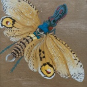 Wendy Bird - “Tropical Firefly 2” – bird.wendy@btinternet.com