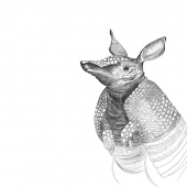Brooke Mathews - “Armadillo” – www.artbybrookemathews.weebly.com