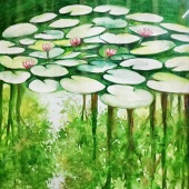 Gunjan Sachdeva - “Lotus Pond” – gunjanjayena@gmail.com