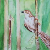 Sudipto Roy - “Chirping at the Edge” – sudiptoroy2006@gmail.com