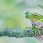 Coleen Williams - “Branch Manager” – www.col-art.co.za