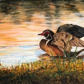 Linda Steele - “Morning Dip” – www.steeleoriginals.faso.com