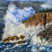 Debbie Demyanovich - “Superior Splash” – www.debbiedemy.com