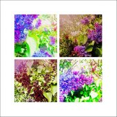 Sylvia Bandyke - “Heavenly Shades of Lilac” – www.facebook.com/bandykephotocollage