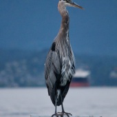 MT. Andrés - “Chronos and Kairos en America 4” – mt-andres.wixsite.com/fine-art