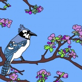 Jessica Gross - “Blue Jay” – www.jessnicole94.wixsite.com/jessnicolecreations