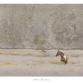 James H. Marks - “Retired Gentleman” – www.jameshmarks.com