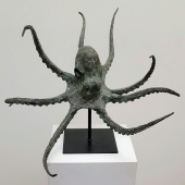 2nd Place – Sierra Caley - “Polypus” – sierra.caley@gmail.com