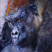 1st Place – Carrie Cook - “On the Inside Looking Out” – www.carriecook.com