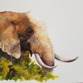 9th Place – Lindy Roux - “Elephant” – lindy@artyfactz.co.za