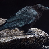 Hon. Mention - Margaret S. Pardy - “The Raven” – www.margaret-sarah-pardy.pixels.com