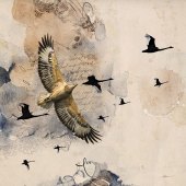 10th Place – Cindy Collier Harris - “Soar Like an Eagle” – www.artboja.com/art/gxi8c2