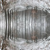 Hon. Mention - Dan Lloyd - “Soundless” – www.commons.trincoll.edu/dlloyd