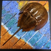 Carlos E Ponce - “Carpe Diem” – https://carpediemfalmouth.blogspot.com/