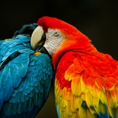 Gary R Hook - “Sweet Nothings” – http://garyrhook.com/