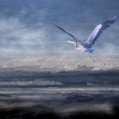 Nicole Wilde – “Journey to Calmer Waters” - www.photomagicalart.com