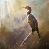 Nicole Wilde – “Peaceful Morning in the Marsh” - www.photomagicalart.com
