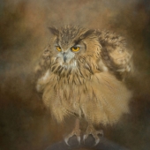 Nicole Wilde – “Puffed and Pensive” - www.photomagicalart.com