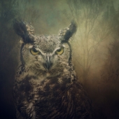 Nicole Wilde – “Spirit of the Forest” - www.photomagicalart.com