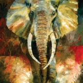 Bekker (1) Img #1  The Charging African Giant