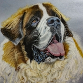 Gervais (1) Img #1  Bogey