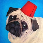 Moran-G (1) Img #1  Fez My Pug