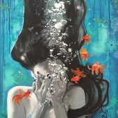 Robin (1) Img #1  Curiosity