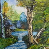 Shoaib (3) Img #1  Dreamy