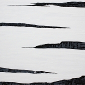 Skytte (1) Img #1  Birch 1