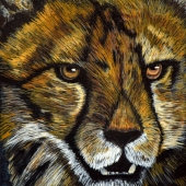 Valentino (1) Img #1  Lioness