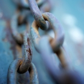 Vani (1) Img #2  Free