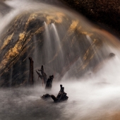 5th Place - Photo - Austen (1) Img #2  Alluvial