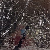 Poole (1) Img #5  Marmato 2