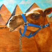 Richter (1) Img #2  Desert Ship