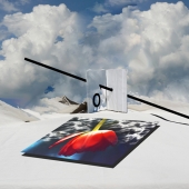 Roy (1) Img #1  O to the Tulip - 2014