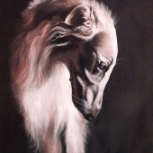 Van Kampen (1) Img #2  Namaste