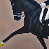 Walker-C (1) Img #1  Dreaming of Totilas