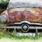 Williams-M (1) img #4 The Ford