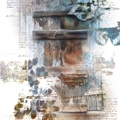 Baita (1) Img #1  Diary of a Dreamer - The Roots