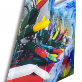 Brandejs (1) Img #3  New York Christmas