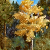 Glatz (1) Img #1  A Touch of Gold