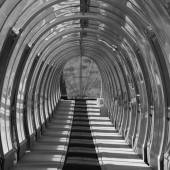 Greenwood (1) Img #1  Magic Carpet