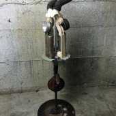 Isakson (1) Img #1  Home on the Range