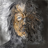 Joubert (1) Img #2  Decay