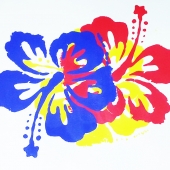 Kashmer (1) Img #1  Overlap Hibiscus