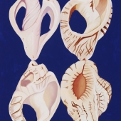 Marci (1) Img #2  Arleone's Shells - Four