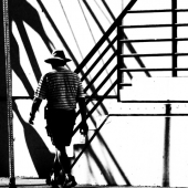 Mink (2) Img #1  Converging Lines